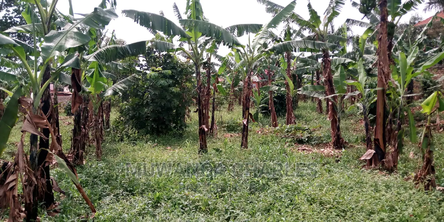 20decimals of Land Is Available for Sale in Kulambiro