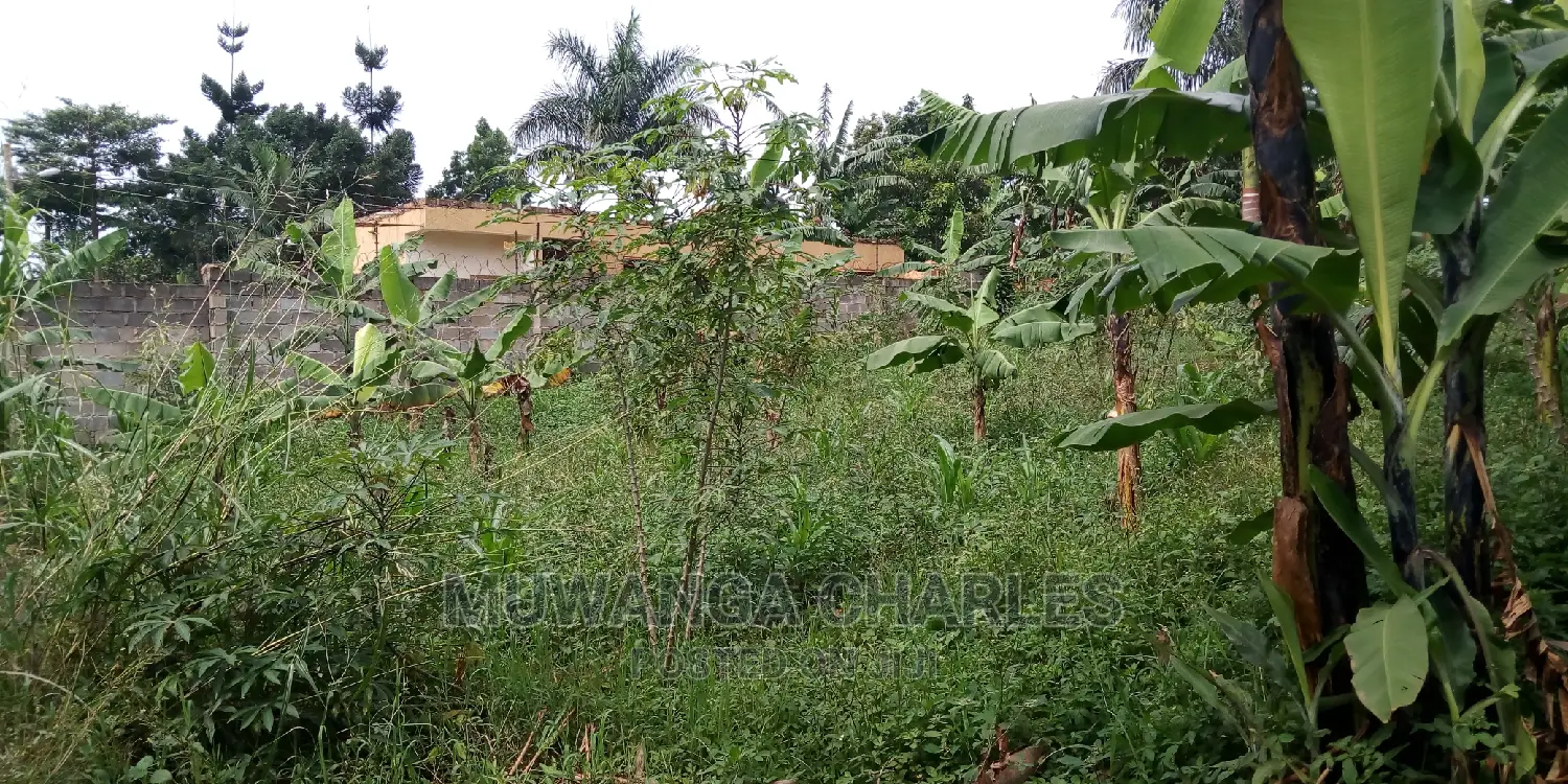 20decimals of Land Is Available for Sale in Kulambiro