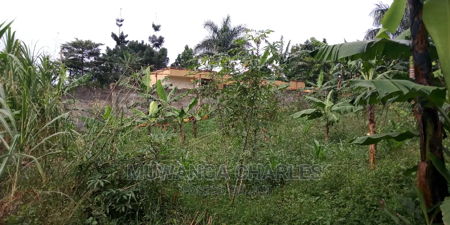 20decimals of Land Is Available for Sale in Kulambiro
