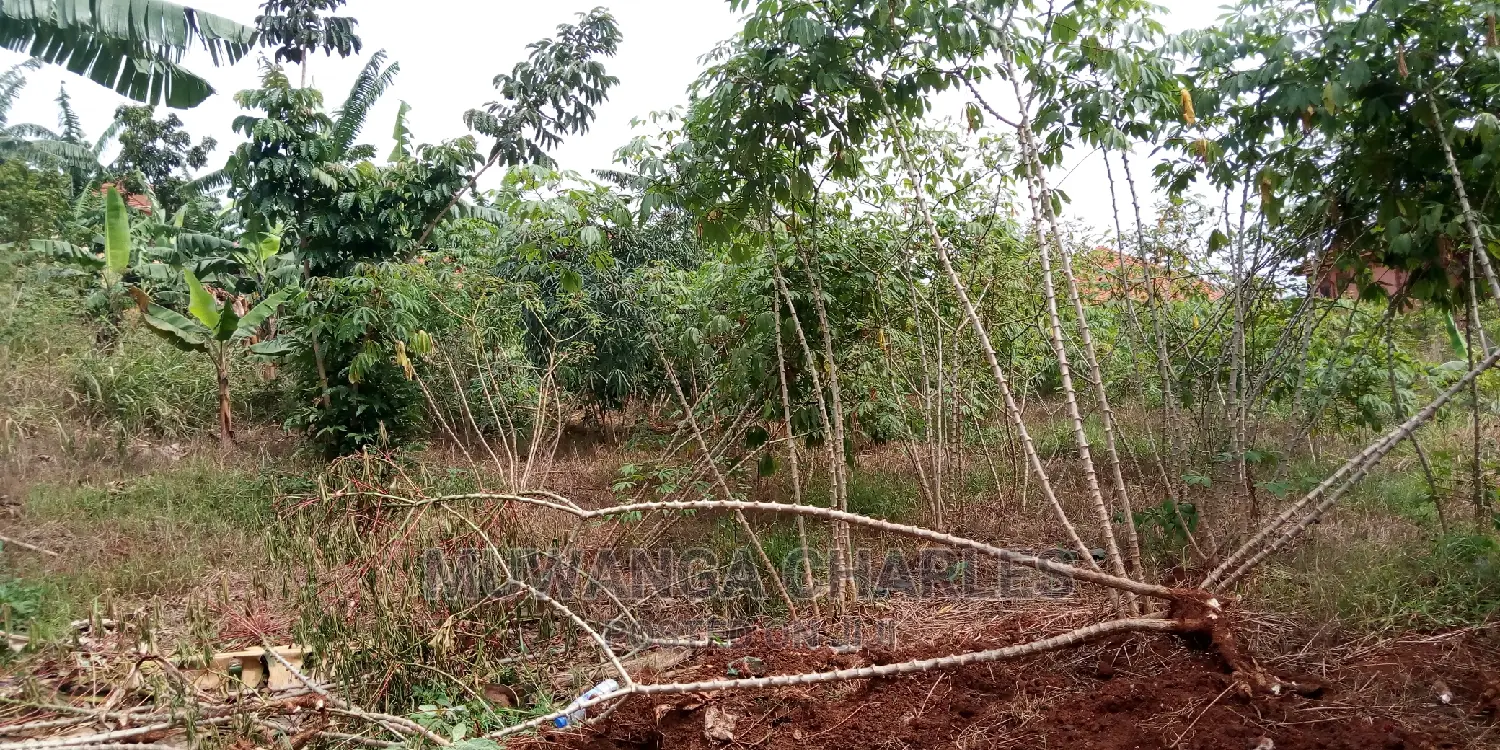 30decimals of Land Is Available for Sale in Kulambiro