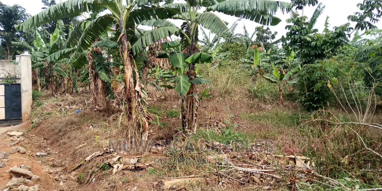 30decimals of Land Is Available for Sale in Kulambiro
