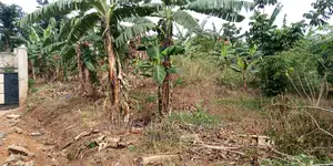 30decimals of Land Is Available for Sale in Kulambiro