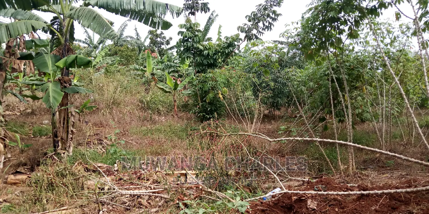 30decimals of Land Is Available for Sale in Kulambiro