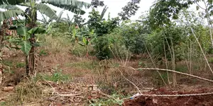 30decimals of Land Is Available for Sale in Kulambiro