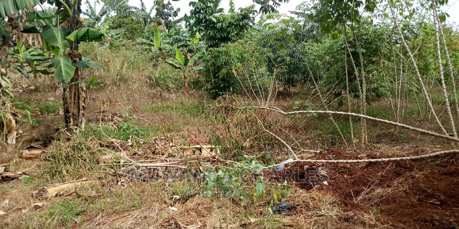 30decimals of Land Is Available for Sale in Kulambiro