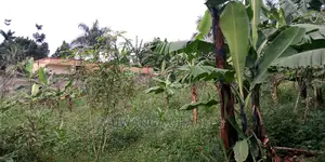 25decimals of Land Is Available for Sale in Kulambiro