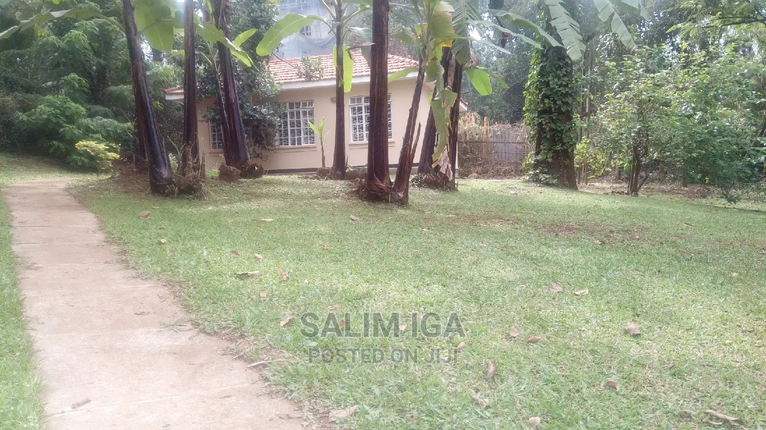 5bdrm Bungalow in Kololo Property, Central Division for Rent