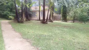 5bdrm Bungalow in Kololo Property, Central Division for Rent