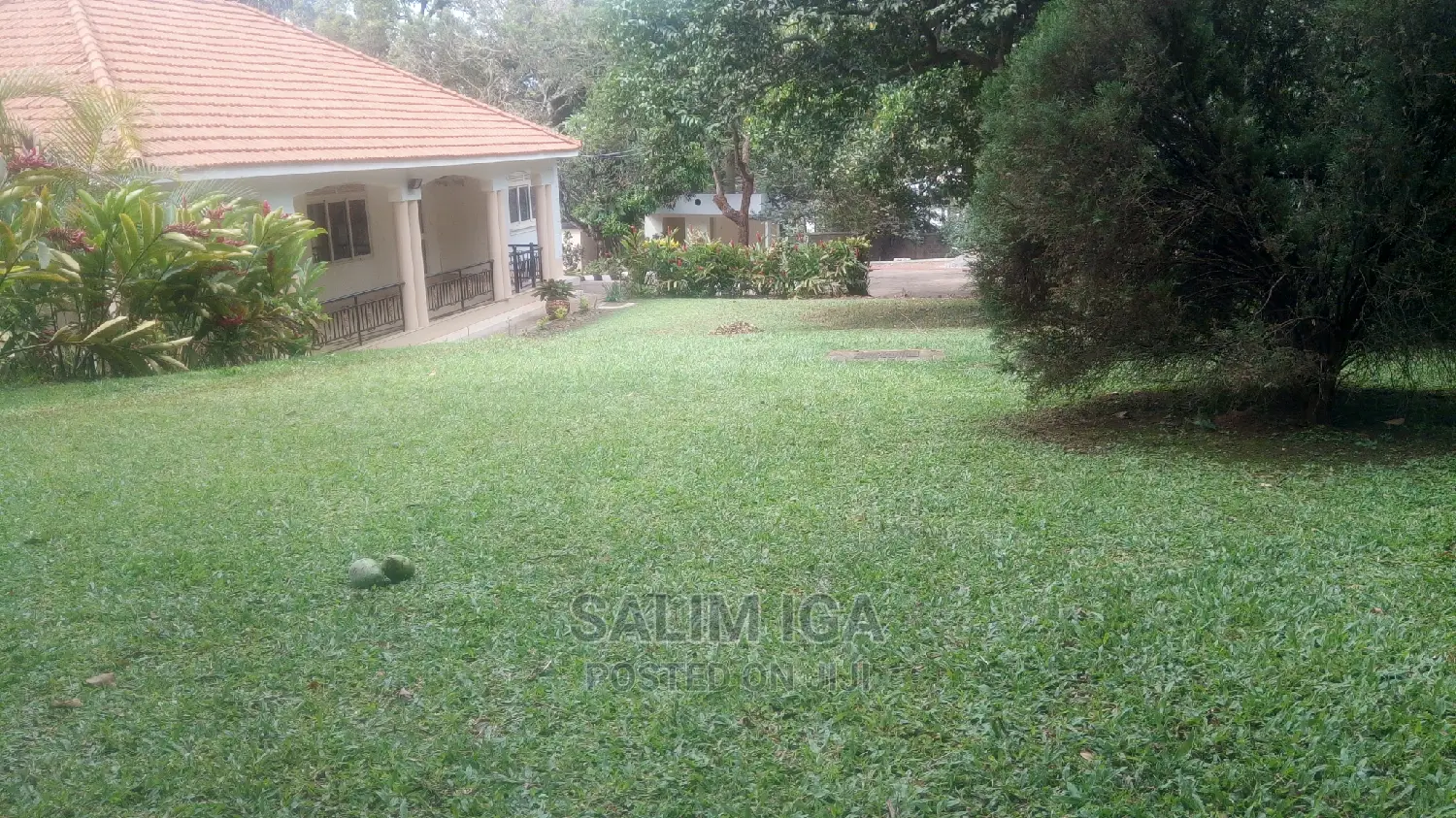 5bdrm Bungalow in Kololo Property, Central Division for Rent