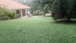 5bdrm Bungalow in Kololo Property, Central Division for Rent