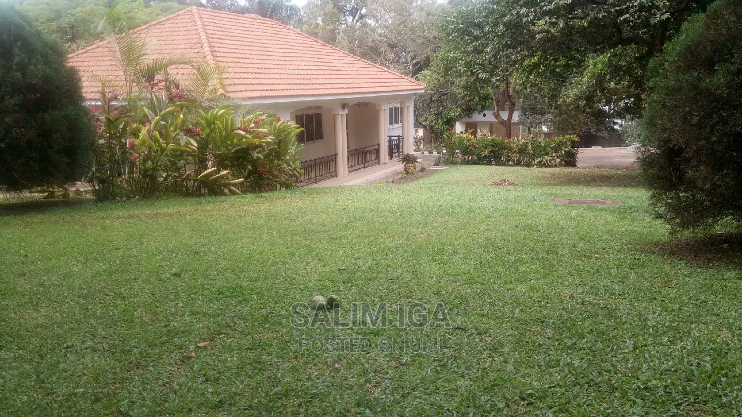 5bdrm Bungalow in Kololo Property, Central Division for Rent