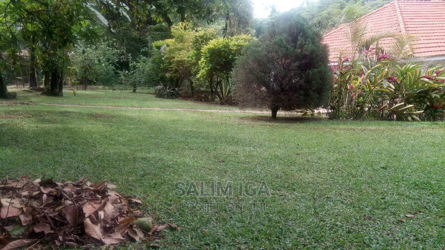 5bdrm Bungalow in Kololo Property, Central Division for Rent