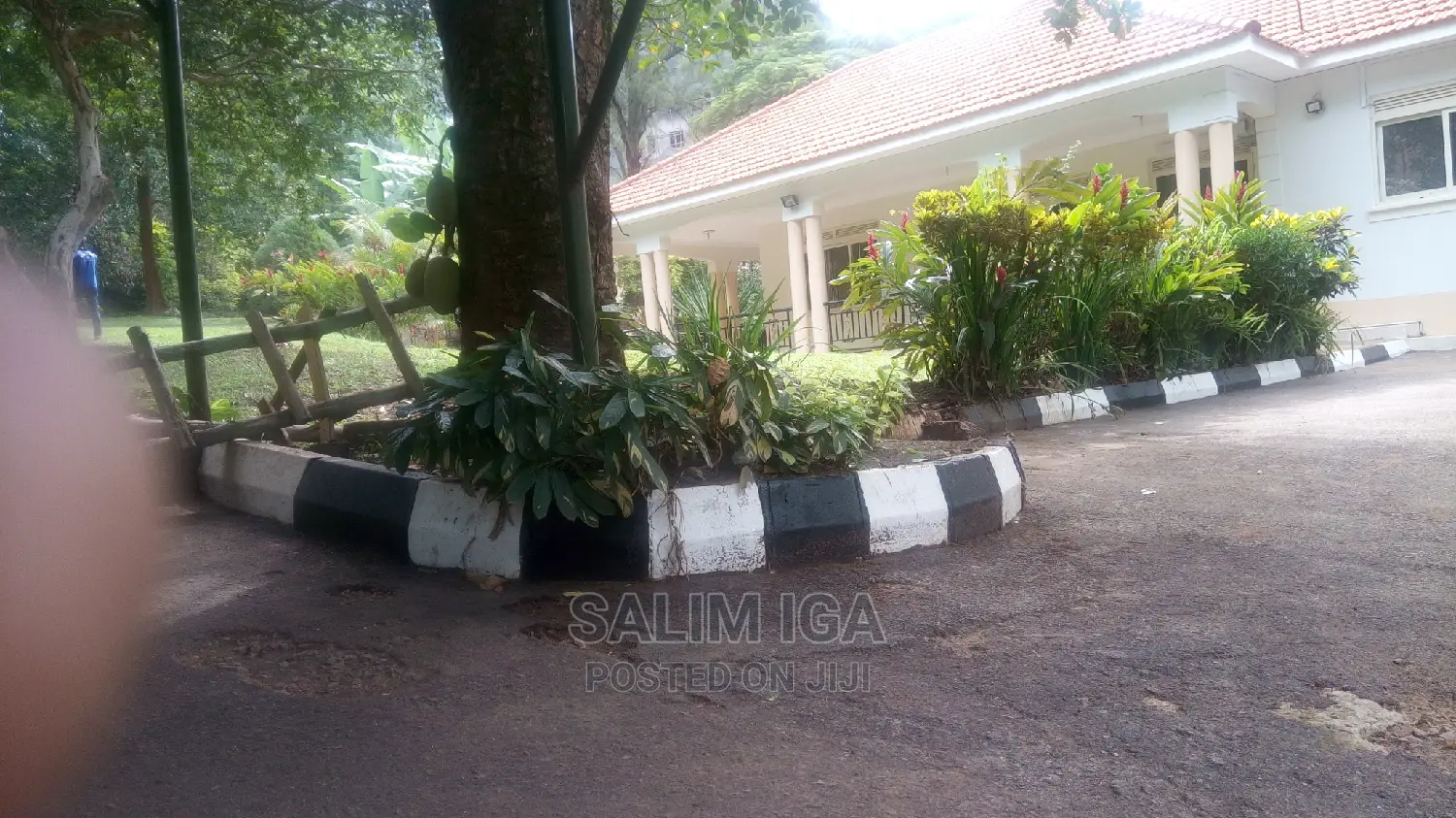 5bdrm Bungalow in Kololo Property, Central Division for Rent
