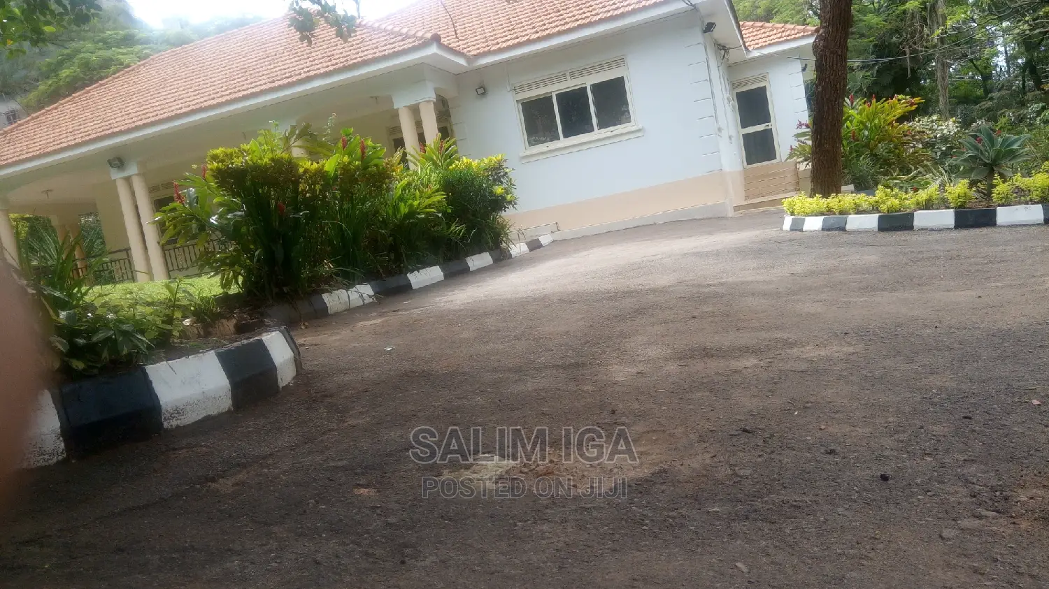 5bdrm Bungalow in Kololo Property, Central Division for Rent