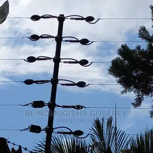 Electric Fence