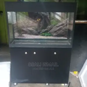 Photo - Aquarium