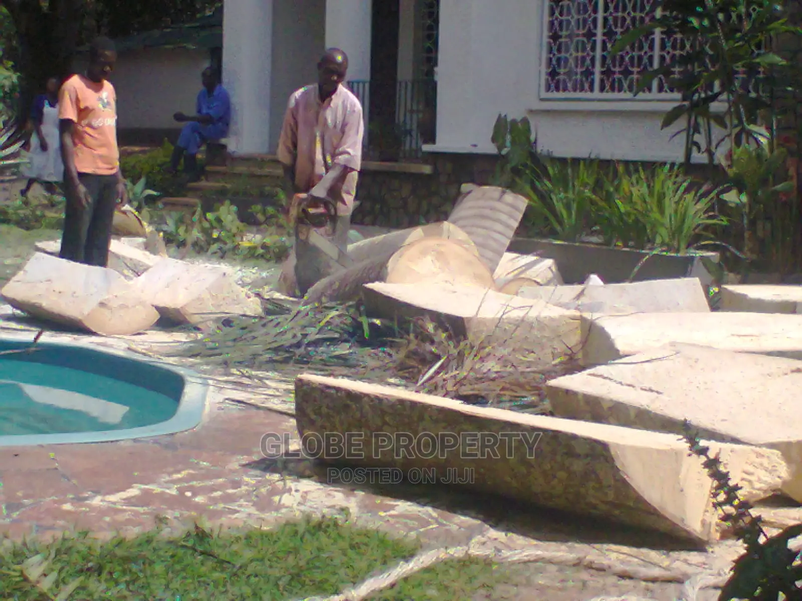 Gardening and Landscaping Services