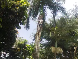 Gardening and Landscaping Services