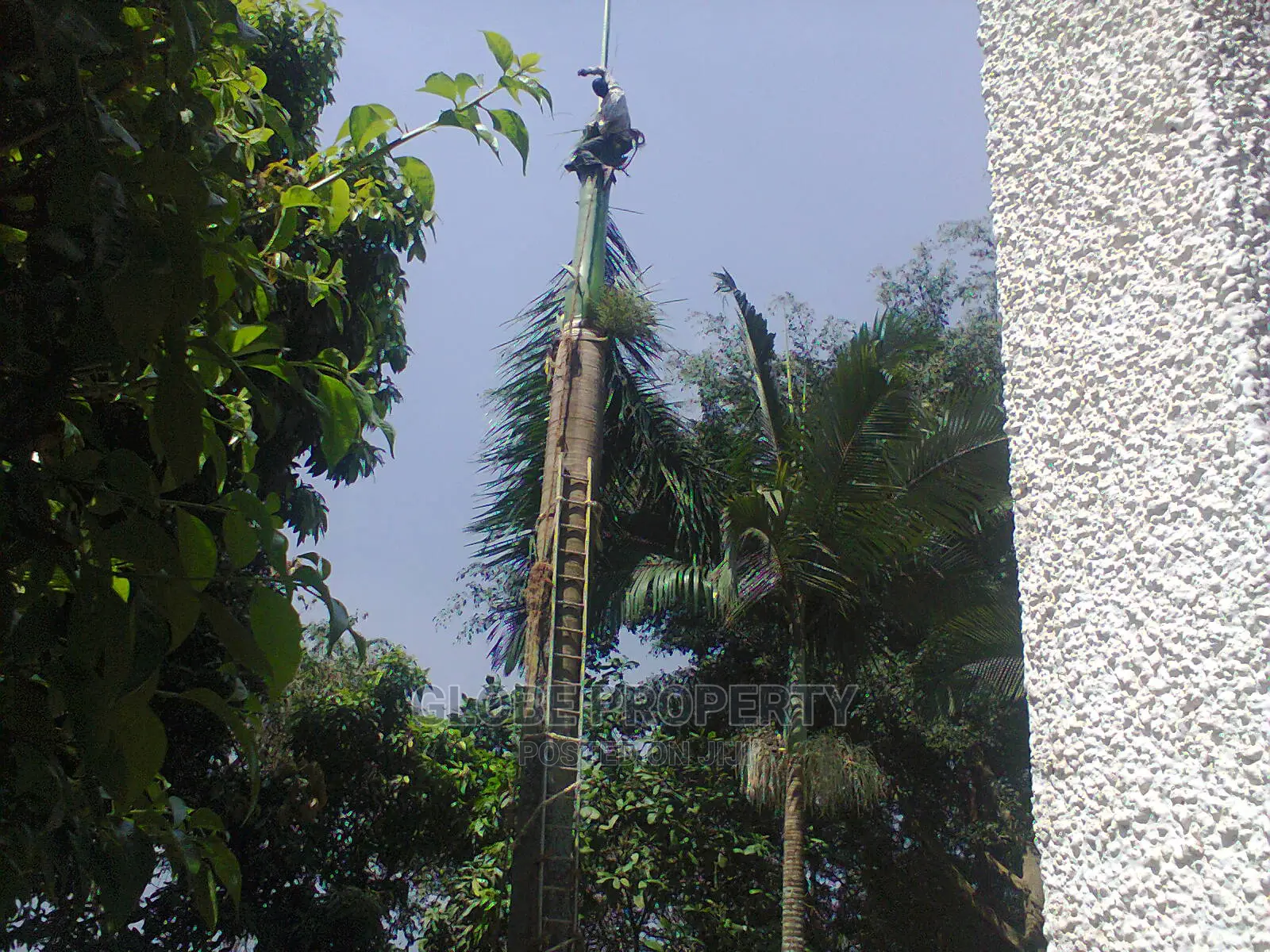 Gardening and Landscaping Services