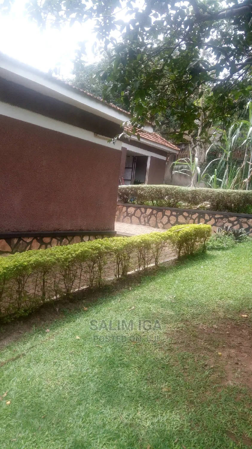 Simple Villa For Rent