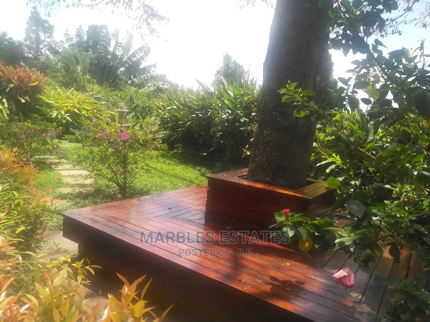 Nice 3 Bedrooms Apartments for Rent in Kololo