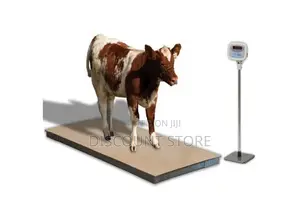 Digital Cattle Scale at Eagle Weighing Systems in Najjera