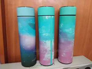 Temperature Flasks 450ml
