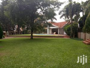 House for Rent in Bugoloobi