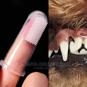 Pet Dental Care.