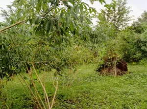 20acres of Land Is Available for Sale in Zirobwe