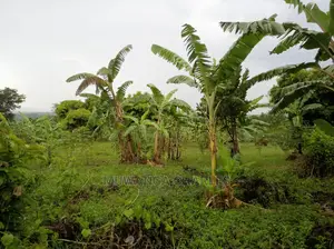 20acres of Land Is Available for Sale in Zirobwe