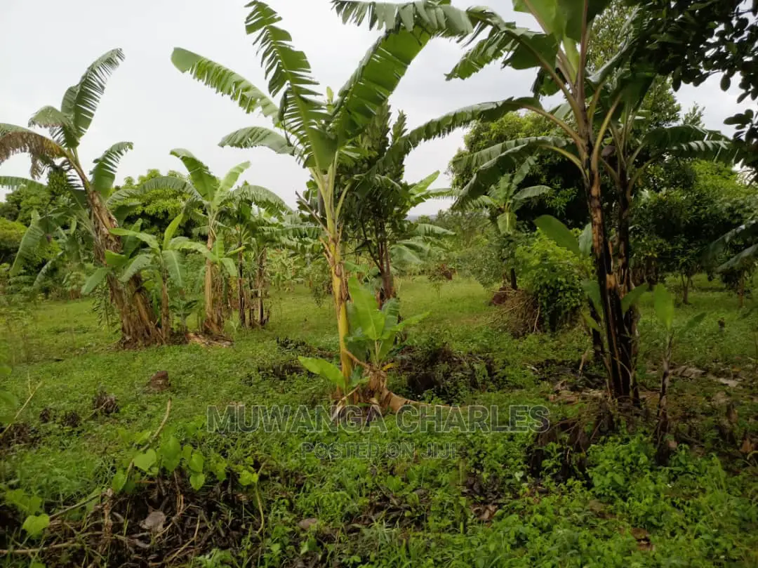 20acres of Land Is Available for Sale in Zirobwe