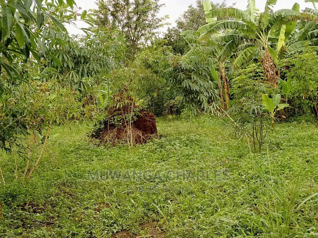 20acres of Land Is Available for Sale in Zirobwe