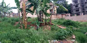 Plot Is Available for Sale in Kyambogo
