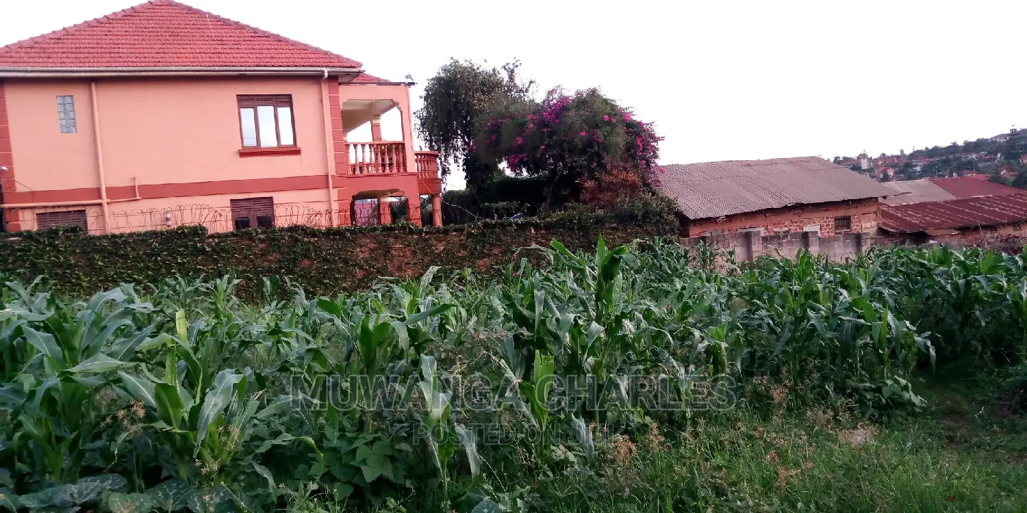 Plots Is for Sale in Kyambogo