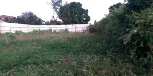 Plots Is Available for Sale in Kyambogo