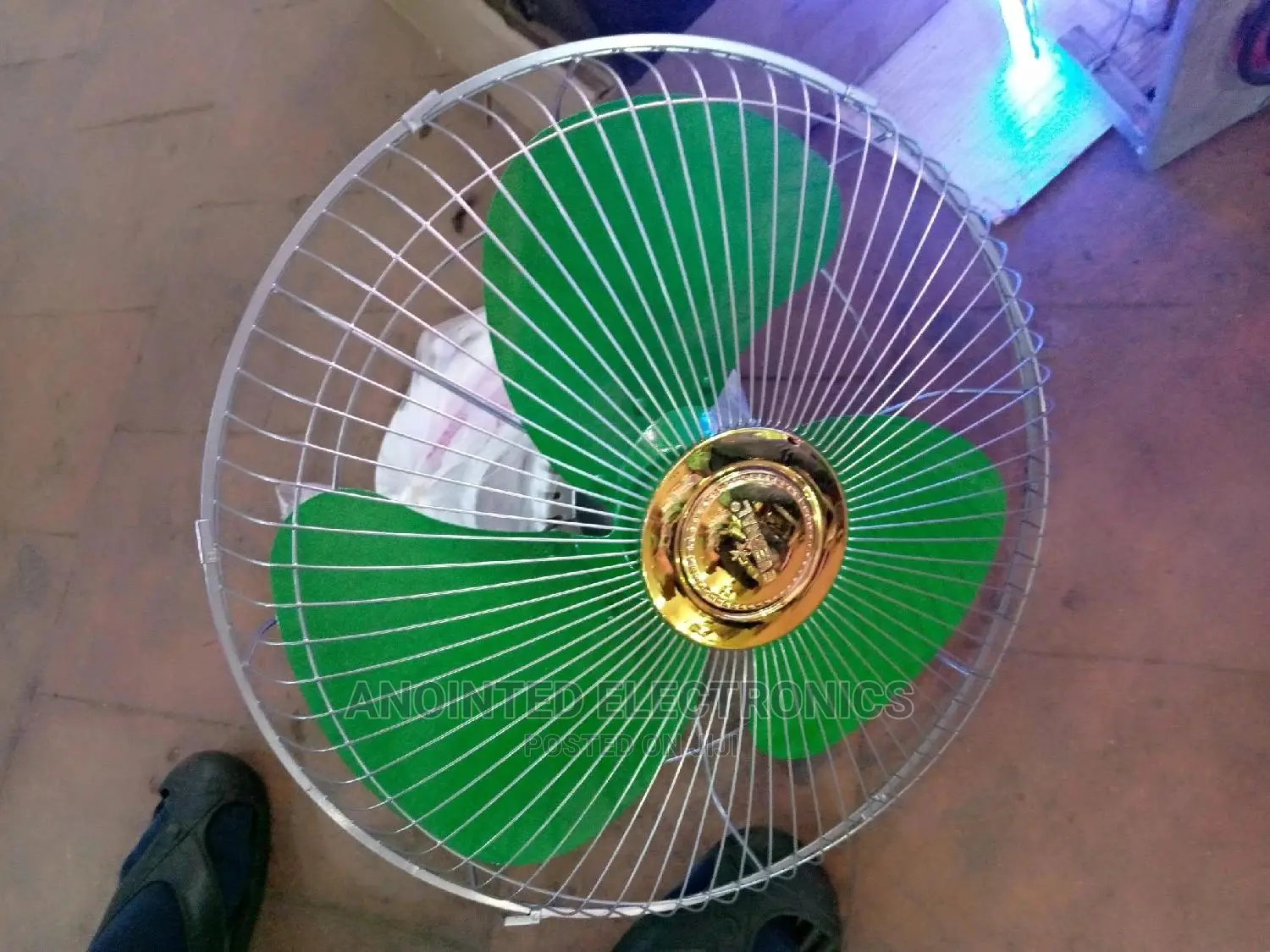 Evernal Ceiling Fans