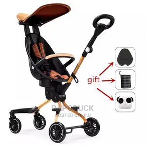 Micro V5 Stroller