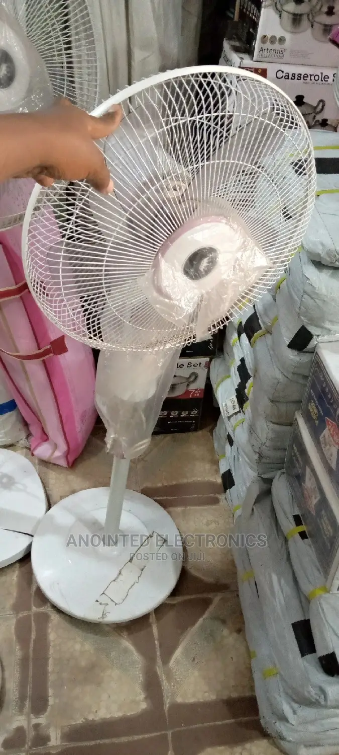 Stand Pink Fan