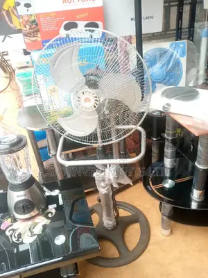 Metallic Fan