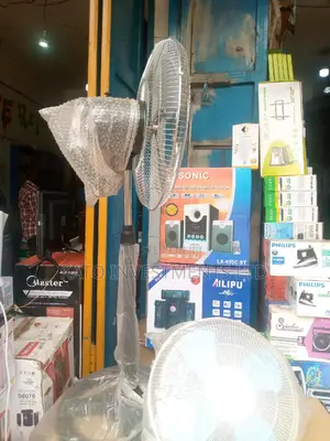 Metallic Fan