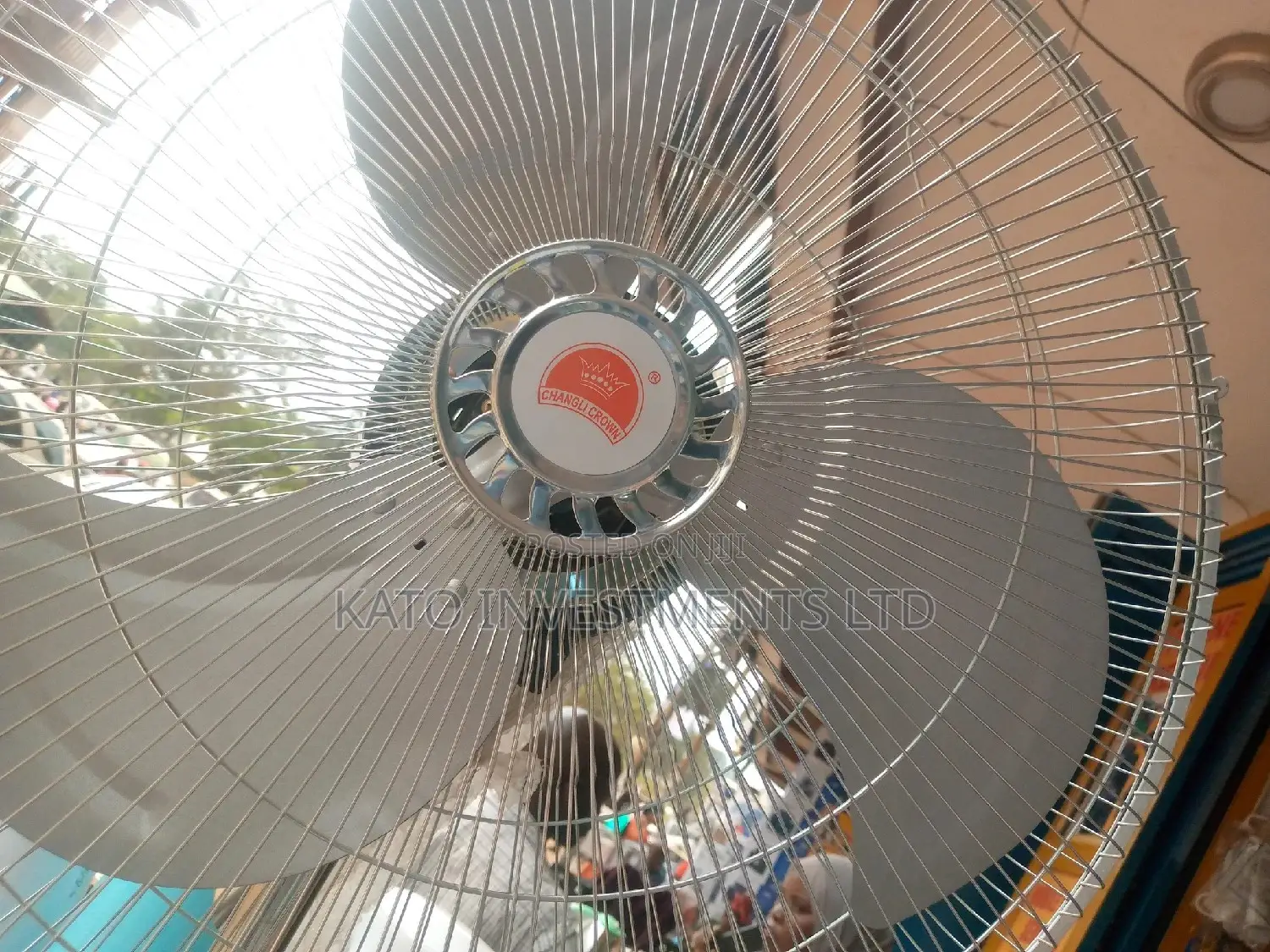 Metallic Fan