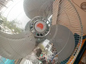 Metallic Fan