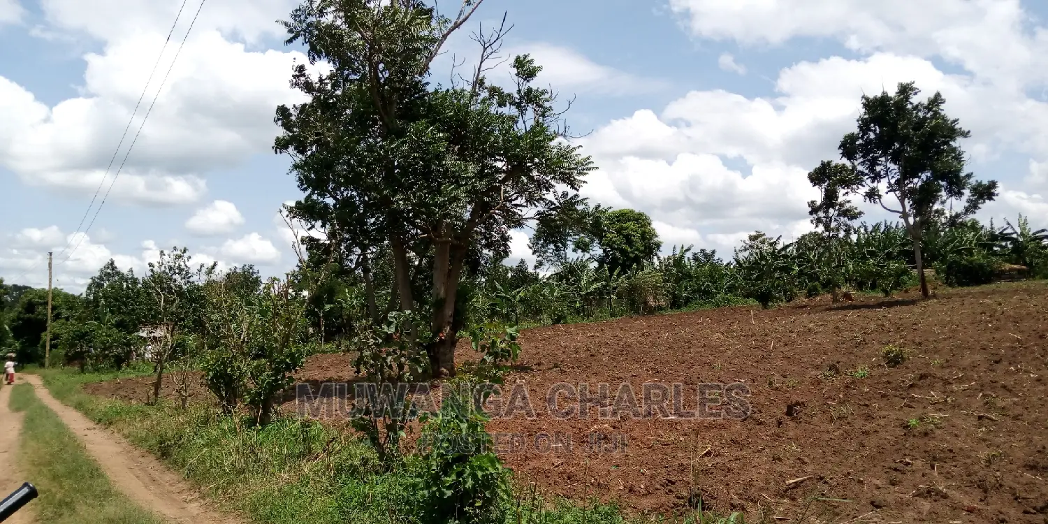 100acres Land Is Available for Sale in Bombo Kalule