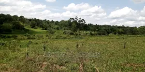100acres Land Is Available for Sale in Bombo Kalule