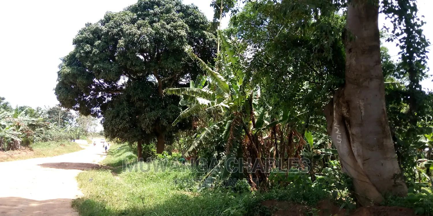 100acres Land Is Available for Sale in Bombo Kalule