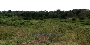 100acres Land Is Available for Sale in Bombo Kalule