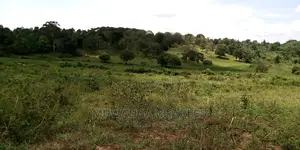 100acres Land Is Available for Sale in Bombo Kalule
