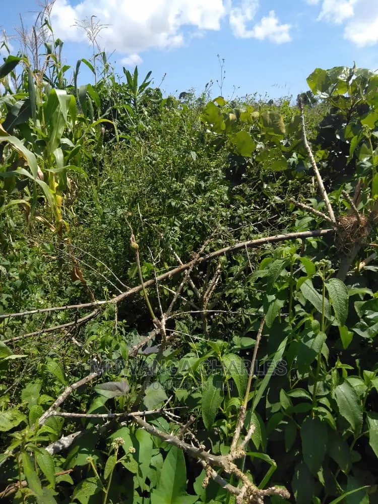 Plots Is Available for Sale in Gayaza Kiwenda