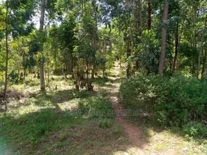 Plots Is Available for Sale in Gayaza Kiwenda